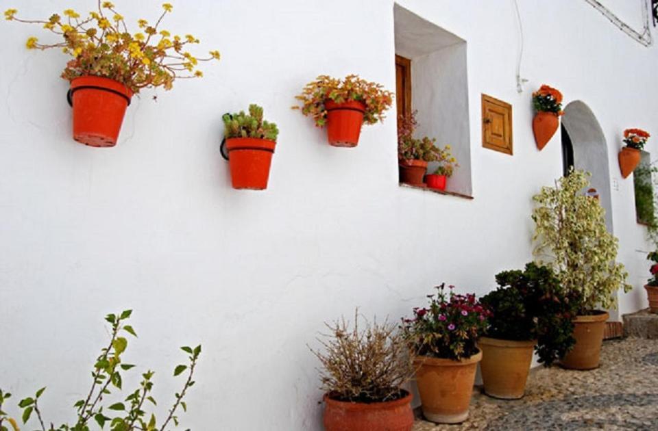 Apartamento De 2 Dormitorios 토록스 외부 사진